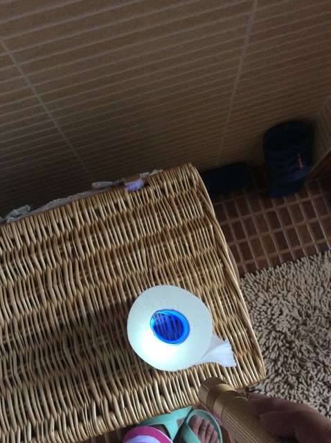  寶媽買了紫光手電，衣服上好多熒光劑，看的心慌害怕